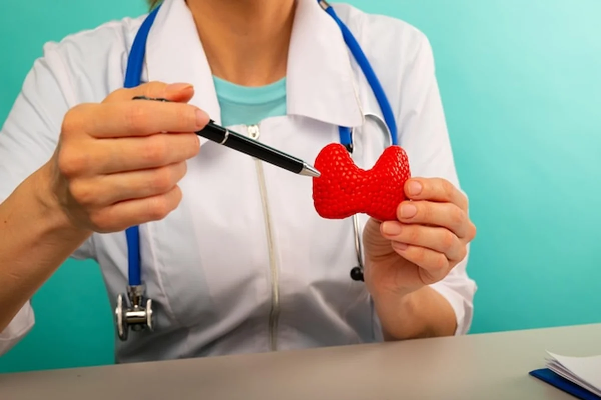 Kobieta lekarz wskazująca na makietę tarczycy w biurze