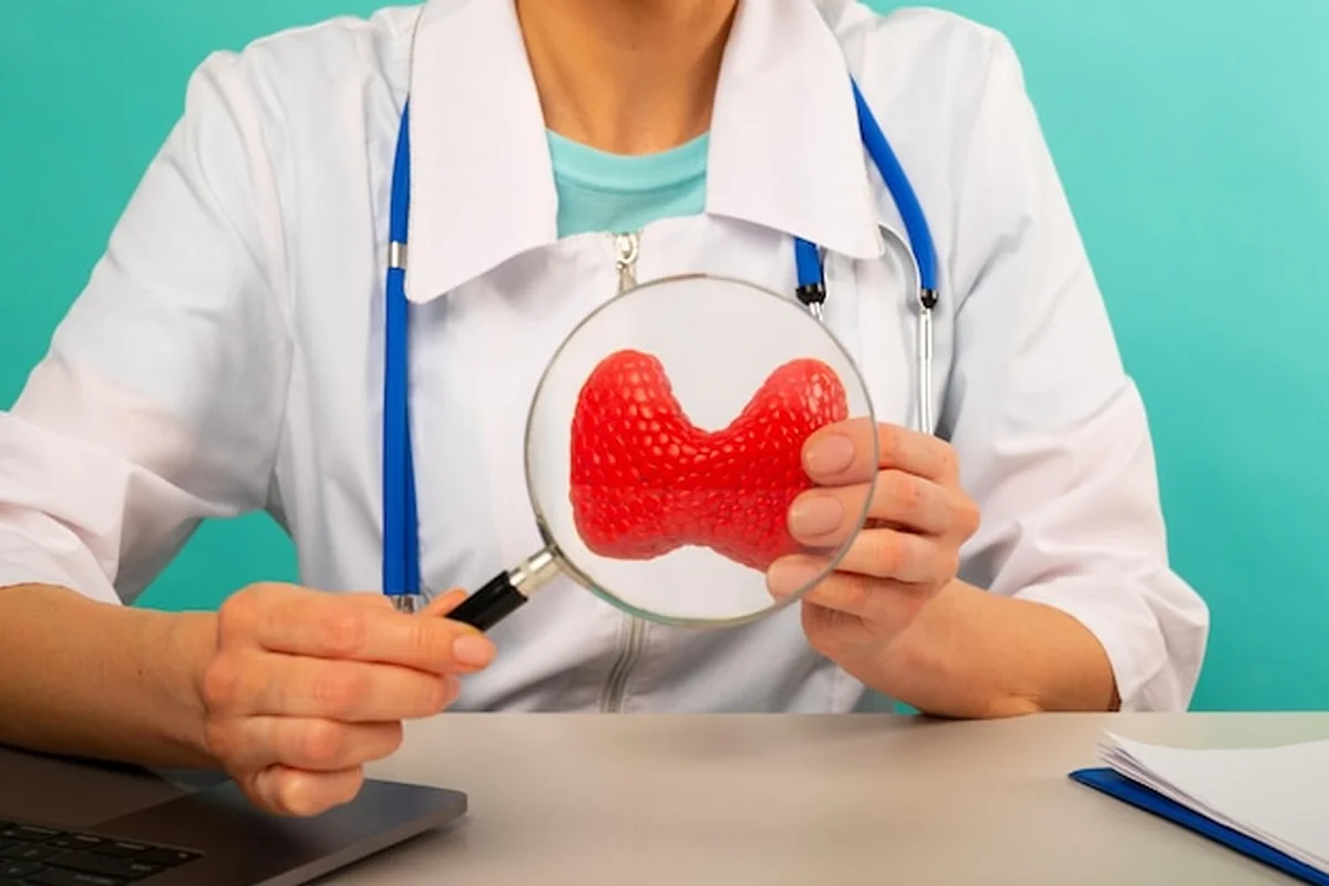 Mężczyzna lekarz pokazujący model tarczycy za pomocą szkła powiększającego